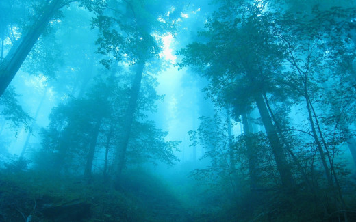 507346 (a): :2560x1600